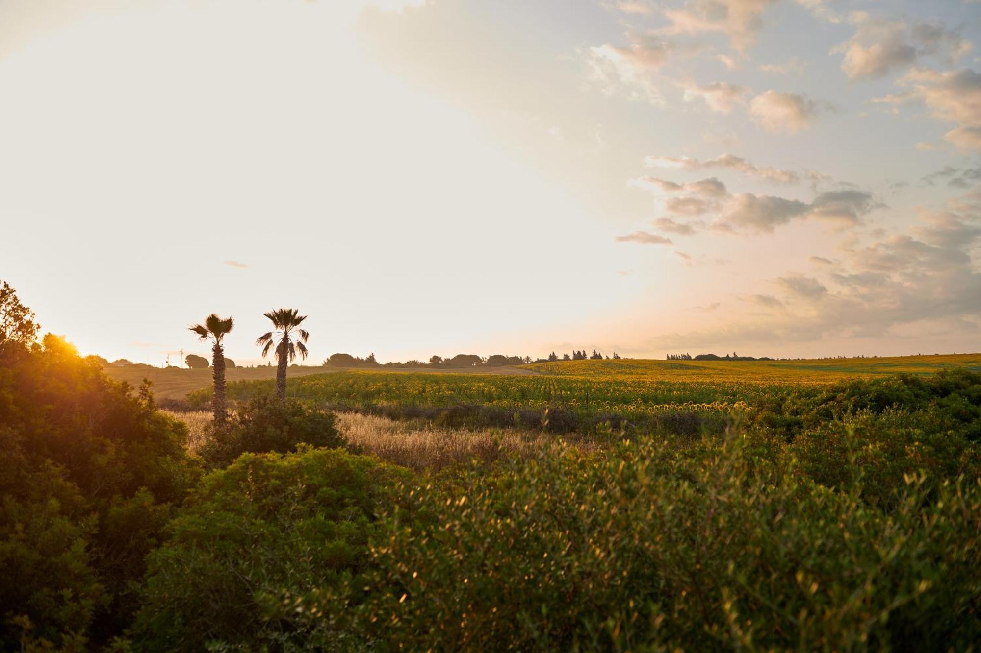 Tranquilo Glamping Hotel Hozanejos Exterior photo